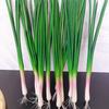 Set Of 3 Artificial Green Scallions Artificial Green Onion Vegetables for Kitchen Home Party Decoration Shop Display