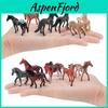 Horse Model Animal Pvc Static Figurines Collection For Display Collectorstoy