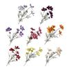 Artificial Cosmos Bipinnatus UV Resistant Fake Silk Galsang Flower Home Office Wedding Party Indoor Outdoor Faux Bloom Decoration