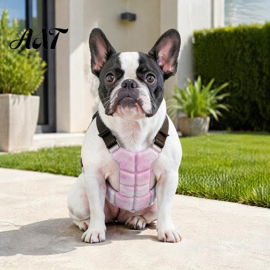 Outdoor Dog Cooling Accessories Vest, Breathable Coat with Gel Ice Packs, Pet Overheating Prevention Gear Summer Jacket for Large Medium