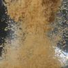 Fishing King Yellow Noodle Carp Fishing Bait
