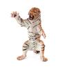  Animal Model Toy Figurine Model Ornament Toys Educational toy