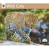 Carousel Calendars, Wild Cats WWF 2026 Wall Calendar, 12'' X 28'', 16-Month Calendar with Stapled Binding