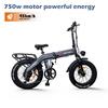 750W48V10AH