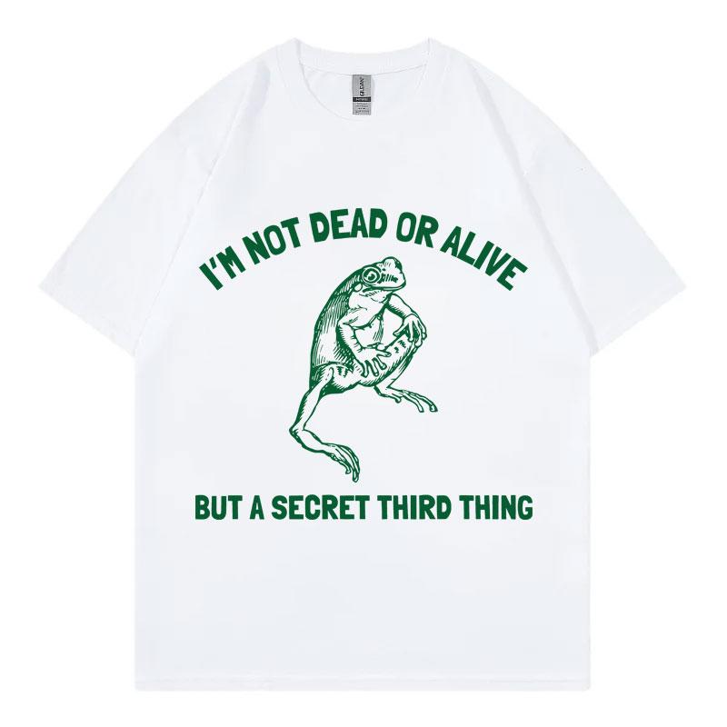 Camiseta con Meme de rana divertida de tercera cosa secretacamisetas Vintage Harajuku de Unisexga corta camiseta holgadaopa S