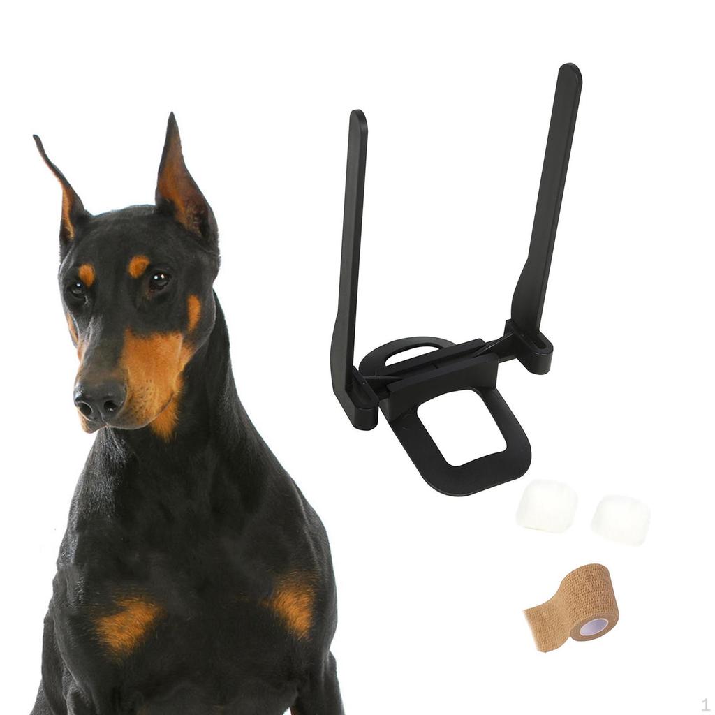 Dog Ear Stand Assist Tool Puppy Vertical Horse Corrector Pet Ears