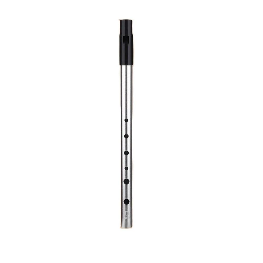 Rich Tone Irish Whistle Flute 6 Holes Irish Tin Whistle Musical Instruments  for Beginners