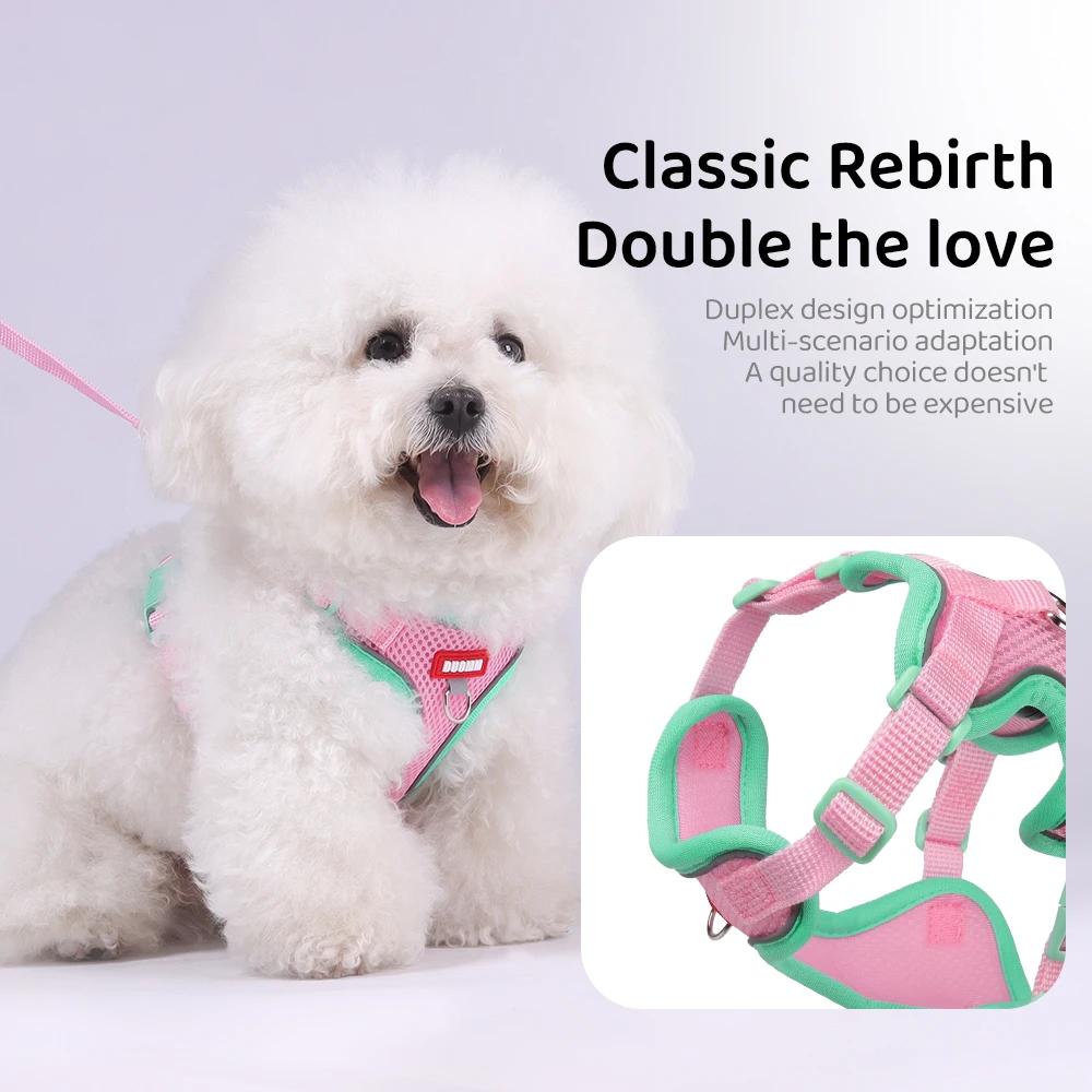 Summer Dog Harness Leash Set for Small Dogs - Colorful No-Pull Escape Proof Pet Vest Breathable Adjustable Outdoor Walking Gear