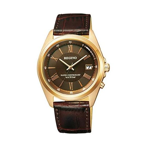 Citizen Regno Solar Radio Watch (mail order limited model) KL8-210-90