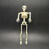 New 40Cm Funny Skull Pendant Joint Adjustable Halloween Horror Ornaments Charm Human Skeleton Model Halloween Gift