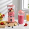 Double Cup Electric Juicer 700Ml Capacity Mini Juicer Must Have USB Juicer  Travel Use