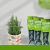 Garden Plant Support Stake for Plant Climbing Plant Support Structure Plant Holder Stick for Support Tall Potted Plant