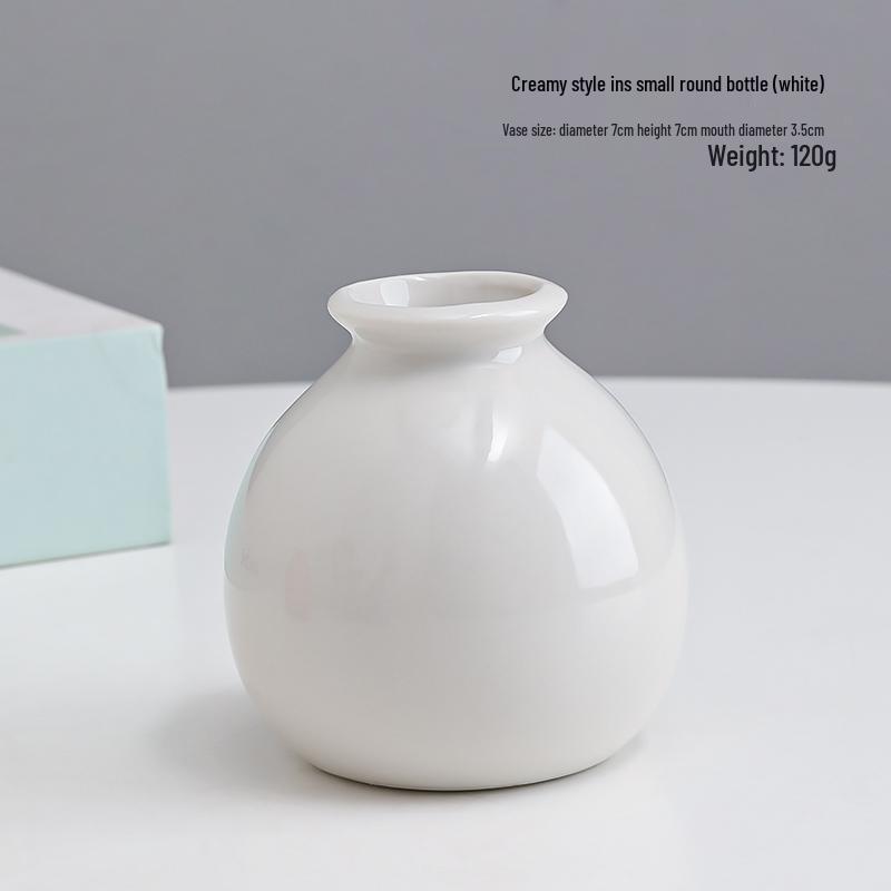 Small Ceramic Desktop Hydroponic Vase for Pothos - Simple Decorative Ornament for Office