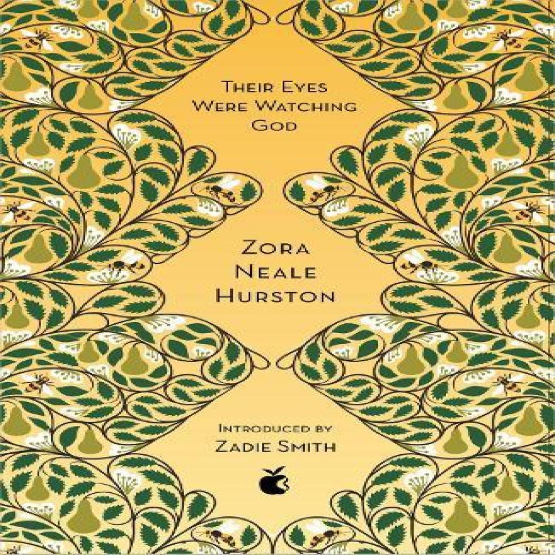 Ihre Augen sahen Gott von Zora Neale Hurston Taschenbuch 9780349010335