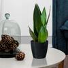 Black plastic pot with cover, 15.5 cm, Magnolia