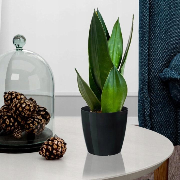 Black plastic pot with cover, 15.5 cm, Magnolia
