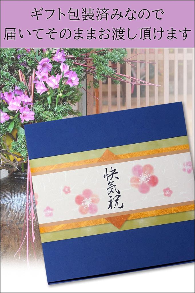 Itoshima Umakama Mon Select Souvenir Dashi and Ingredient Ochazuke Set Seafood Assortment Gourmet Gift