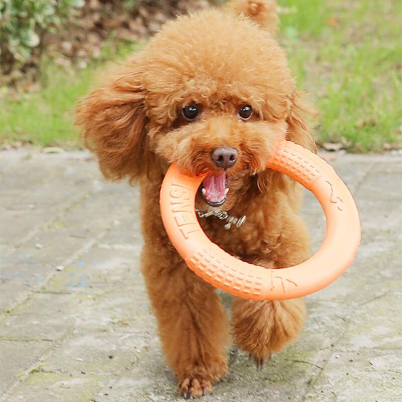 Hoopet Dog Outdoor Interactive Chew Ring Toy