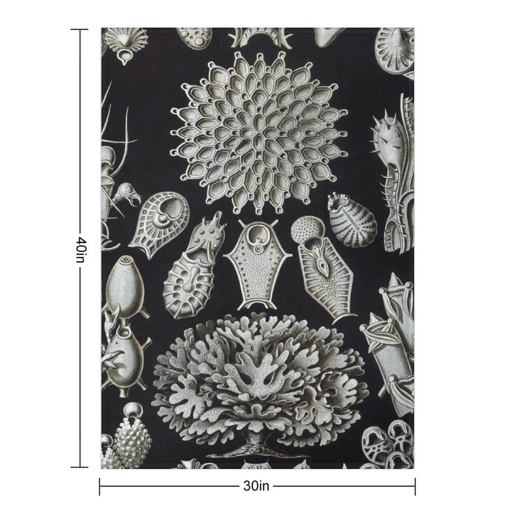 Haeckel Bryozoa 33 Drawing Throw Blanket warm winter Stuffeds Picnic Winter beds Blankets