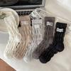 Female Spring and Autumn Pure Color Lace Cloth Standard Pleated Texture In The Tube Pile Socks