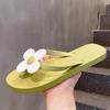 Women's Bowknot Flat Sandals: Non-slip, Wear-resistant, Soft & Elastic for Summer Beach & Casual Wear