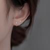 S999 Sterling Silver Flower Stud Earrings: Elegant, Versatile Design with Cubic Zirconia.
