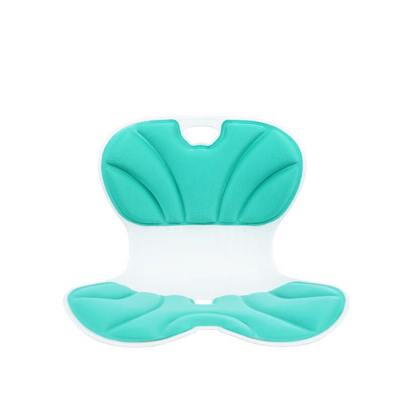 Ergonomic Lumbar Support Seat Cushion