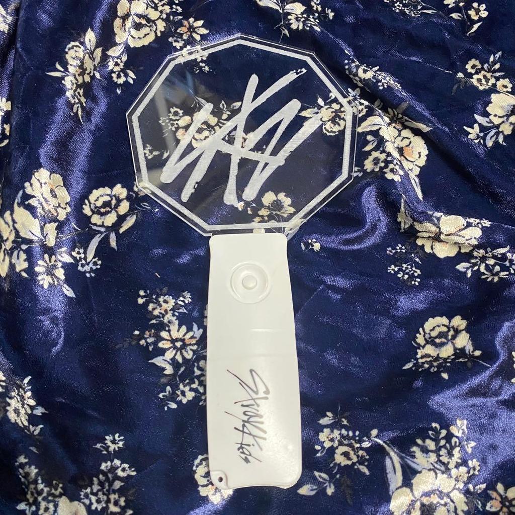 [USED] Stray Kids Early Penlight