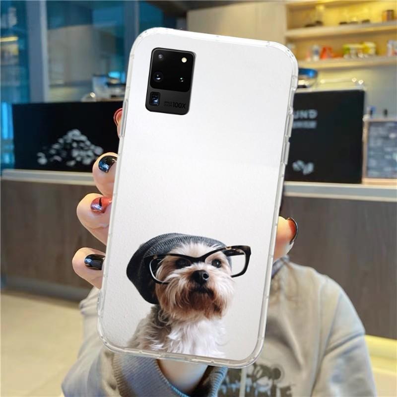 Roztomilý pes knírač nosí brýle pouzdro na telefon pro Samsung Galaxy S10 S21 S22 Plus Ultra A91 A51 A21S A12 Průhledný kryt na telefon