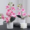 Simulated Phalaenopsis Potted Flower Finished Indoor Home Ornament Soft Rubber Phalaenopsis False Flower