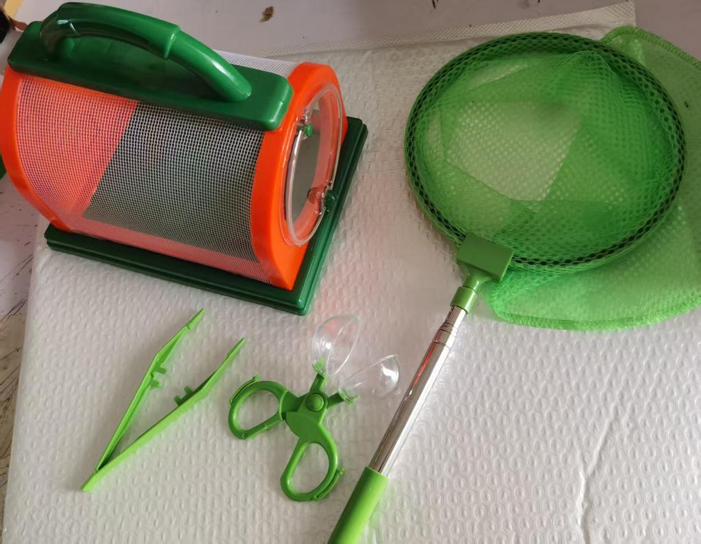 Portable Insect Observation Cage for Butterflies, Silkworms, and Bees