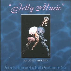 CD JOHN HULING - Jelly Music NVCD1010 Novox Music 1996 US Dance & Electronica Used