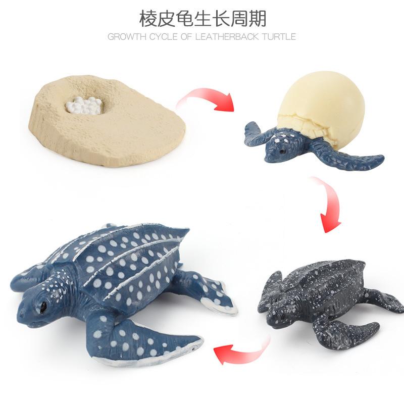 Life Cycle Board Montessori Kit Biology Science Education Toys For Kids Sensory Tray Animal Figure Life Cycle Sorting Wooden Toy