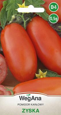 Dwarf Tomato Gain 0.5g Tomato Seeds -