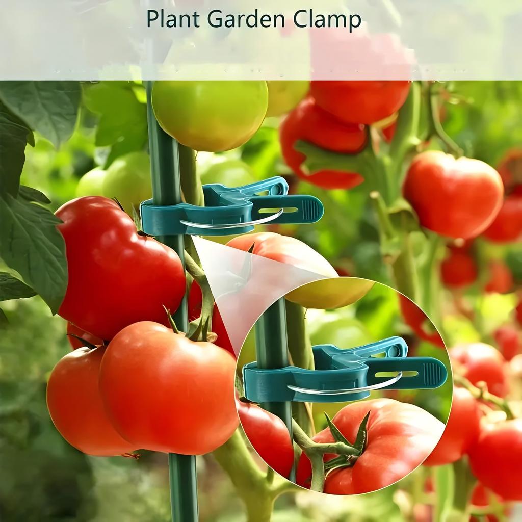 Plant Clips for Climbing Plants, Grape Vine Supports, Tomato and Garden Plant Support Clips, Horticultural Decorative Ornaments