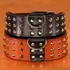 Spiked Studded Big Dog Collar Genuine Leather Wide Collars For Medium Large Dogs Rottweiler Pitbull Anti-Bite Collars Necklaces