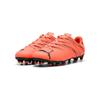 Футбольные бутсы Puma 107480-14