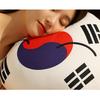 Republic of Korea Taegeukgi Flag Cushion