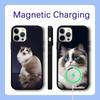 Ragdoll Kitten Cat Phone Case For iPhone 16,15,14,13,12,11,Pro,Max,Plus,Mini,SE Magsafe Magnetic Wireless Charging