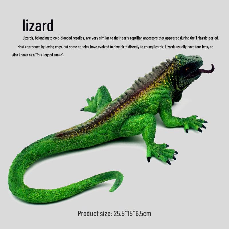 

Образовательная модель ящерицы динозавра игрушка для детей