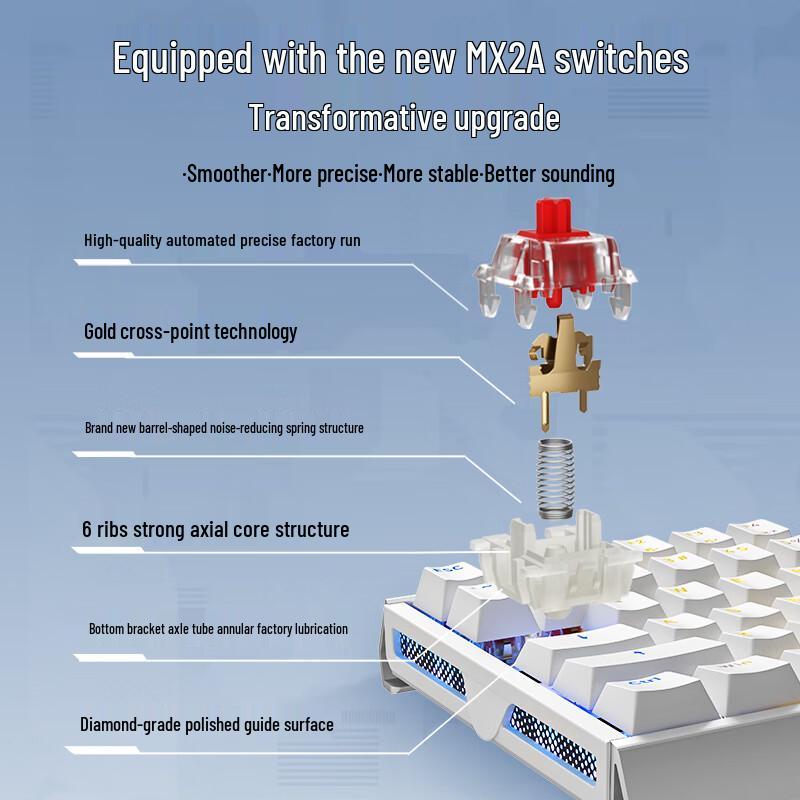 CHERRY MX 3.1 Wired RGB Mechanical Gaming Keyboard