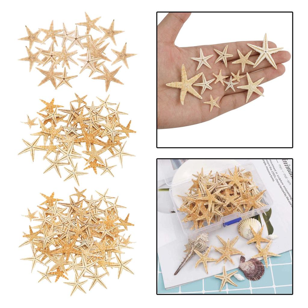 Natural Starfish Sea Star Seashells Beach Shells Crafts Wedding DIY Decor