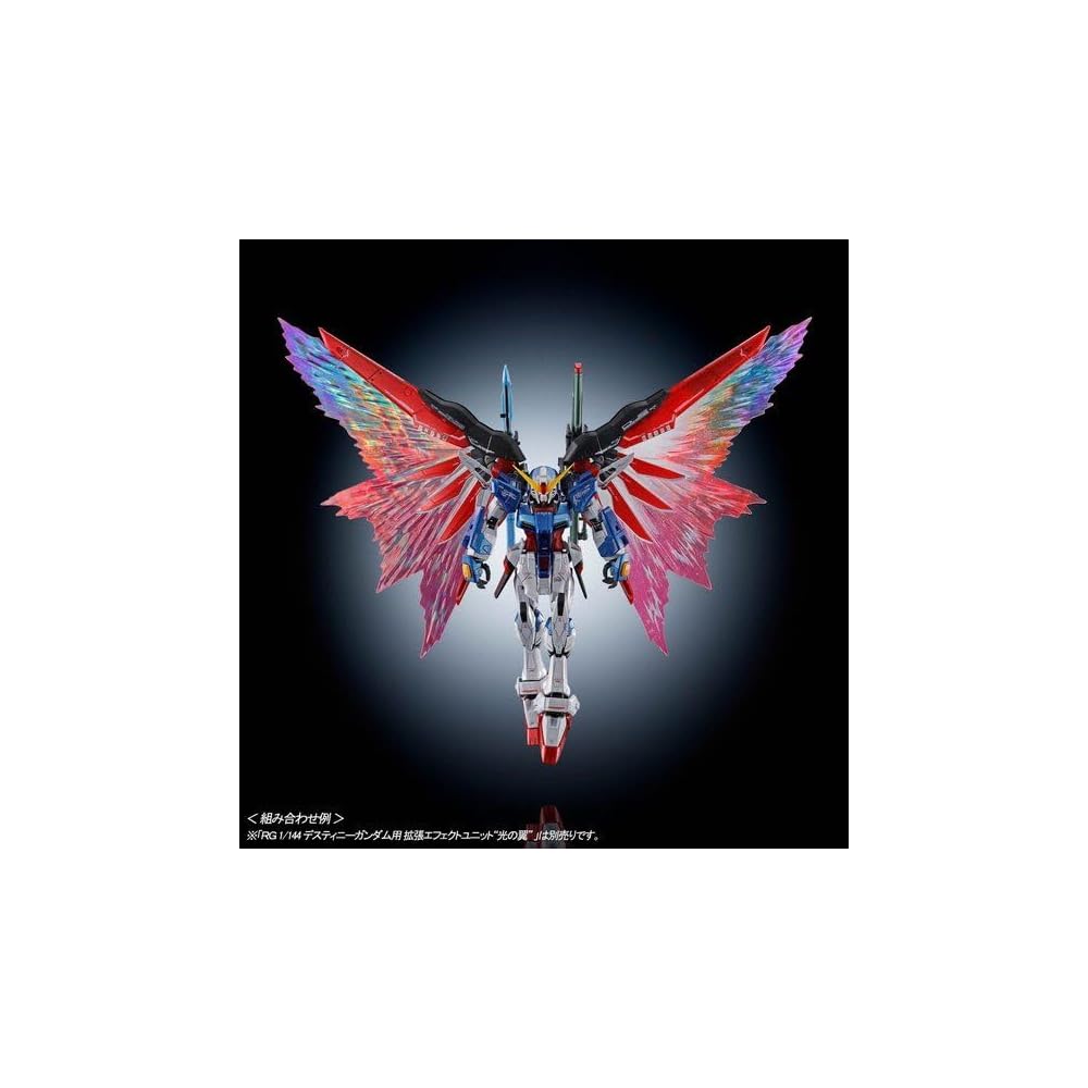 Bandai RG Destiny Gundam Titanium Finish 1/144 Scale Model Figure