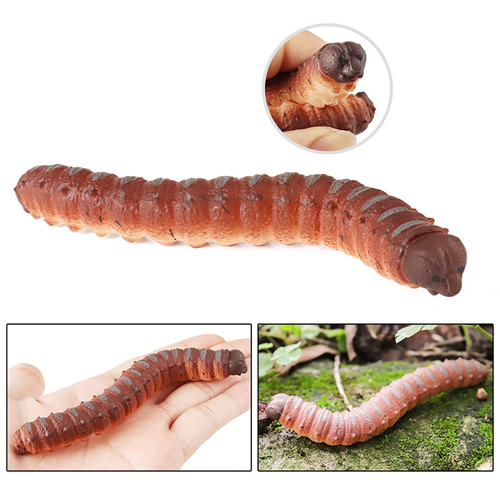 Children s Simulation  Toys - Insect And Animal Model Stress Relief Toys - TRP Soft Rubber Toys One Size