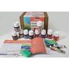Coffret de peinture - PEBEO - Collection Pébéo - 10 pots de 45 ml - Livret d'inspiration - Accessoires inclus