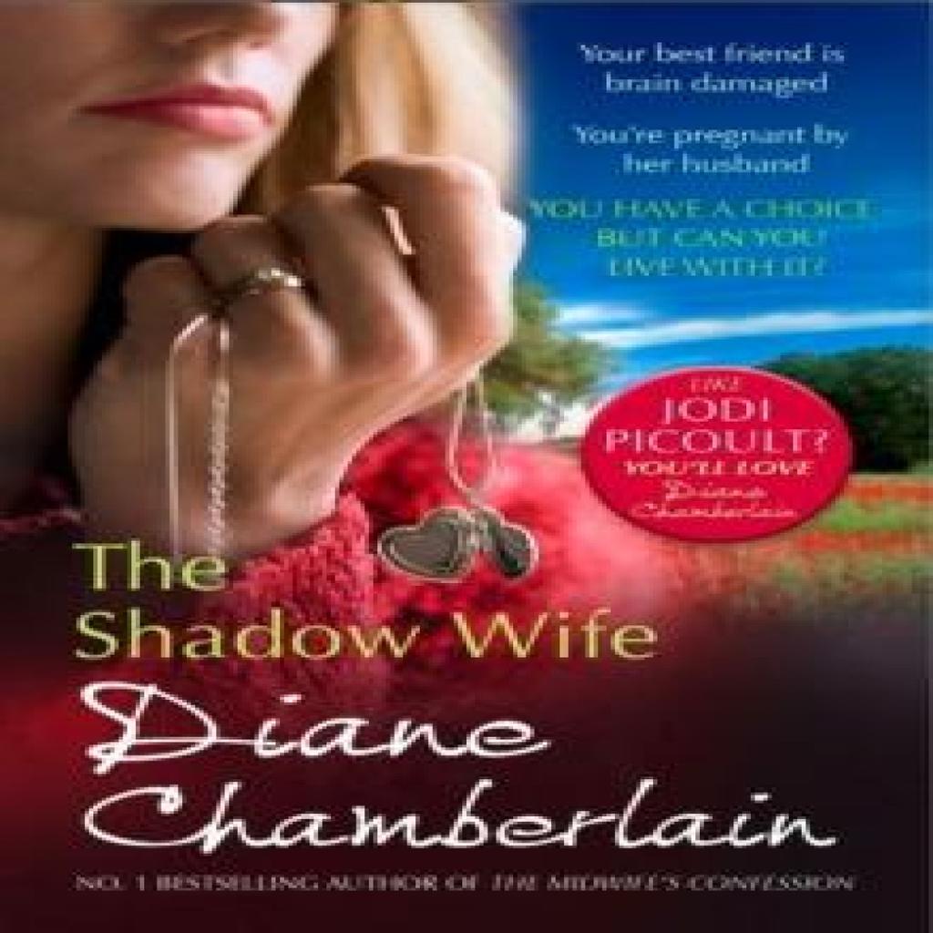 The Shadow Wife by Diane Chamberlain Paperback Book 9781848450448