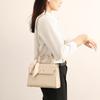 French Minimalist Carrie Bag, A Women's Handbag with A Niche and High-end Feel, A Casual and Versatile Crossbody Bag