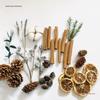 Christmas Pine Cones & Dried Flowers Pack - Eucalyptus, Pine Wood, Cotton, Handmade Photography Props