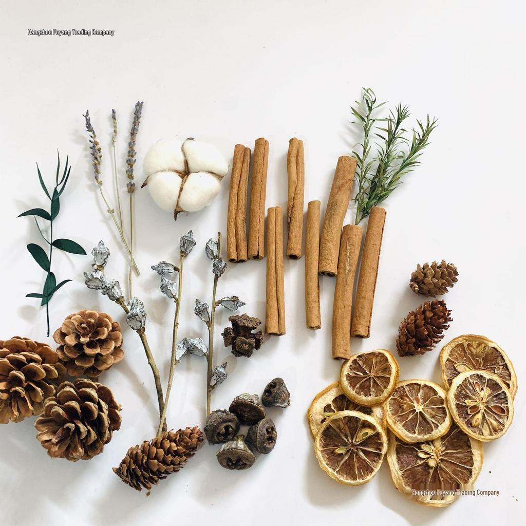 Christmas Pine Cones & Dried Flowers Pack - Eucalyptus, Pine Wood, Cotton, Handmade Photography Props