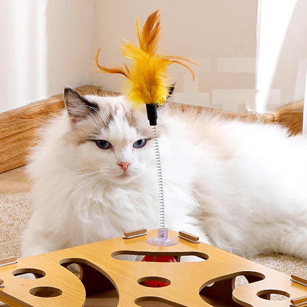 Cat Toy Puzzle Box Claw Grinding Interactive Interesting Cat Game Box with Cat Teasing Stick and